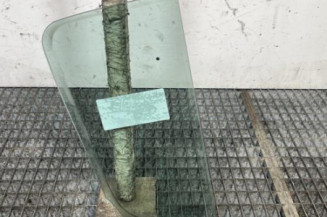 Custode arriere gauche (porte) RENAULT CLIO 3