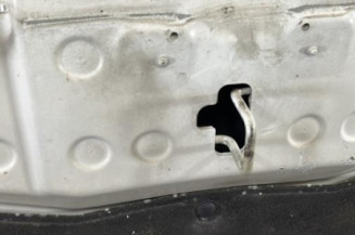 Capot RENAULT CLIO 4