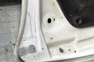 Capot RENAULT CLIO 4