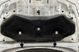 Capot RENAULT CLIO 4