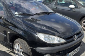 Malle/Hayon arriere PEUGEOT 206