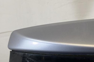 Malle/Hayon arriere NISSAN QASHQAI 1