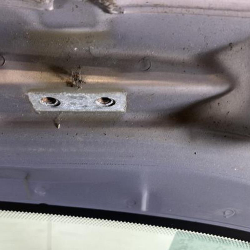 Malle/Hayon arriere CITROEN XSARA PICASSO Photo n°9