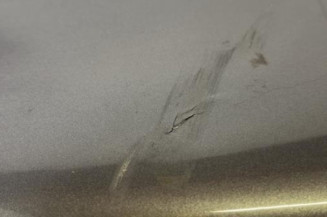 Malle/Hayon arriere RENAULT ESPACE 4