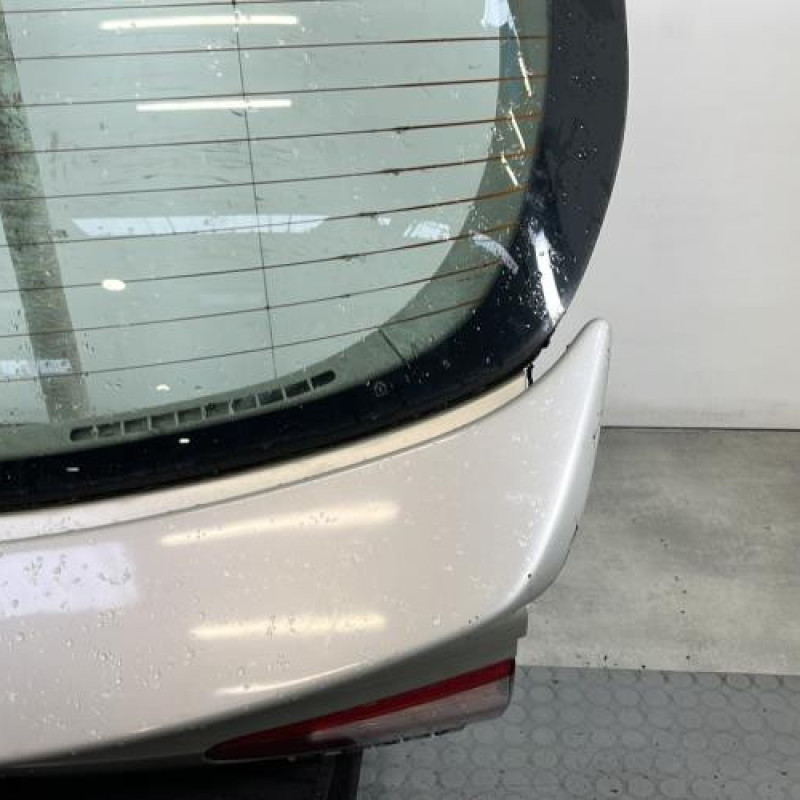 Malle/Hayon arriere RENAULT LAGUNA 2 Photo n°4