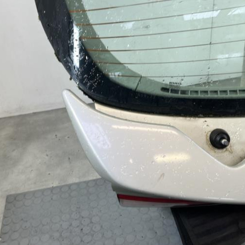 Malle/Hayon arriere RENAULT LAGUNA 2 Photo n°5