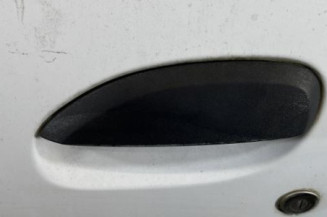 Porte avant gauche DACIA SANDERO 2