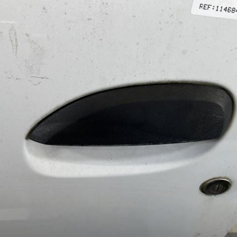 Porte avant gauche DACIA SANDERO 2 Photo n°2