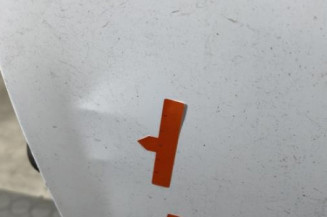 Porte avant gauche DACIA SANDERO 2