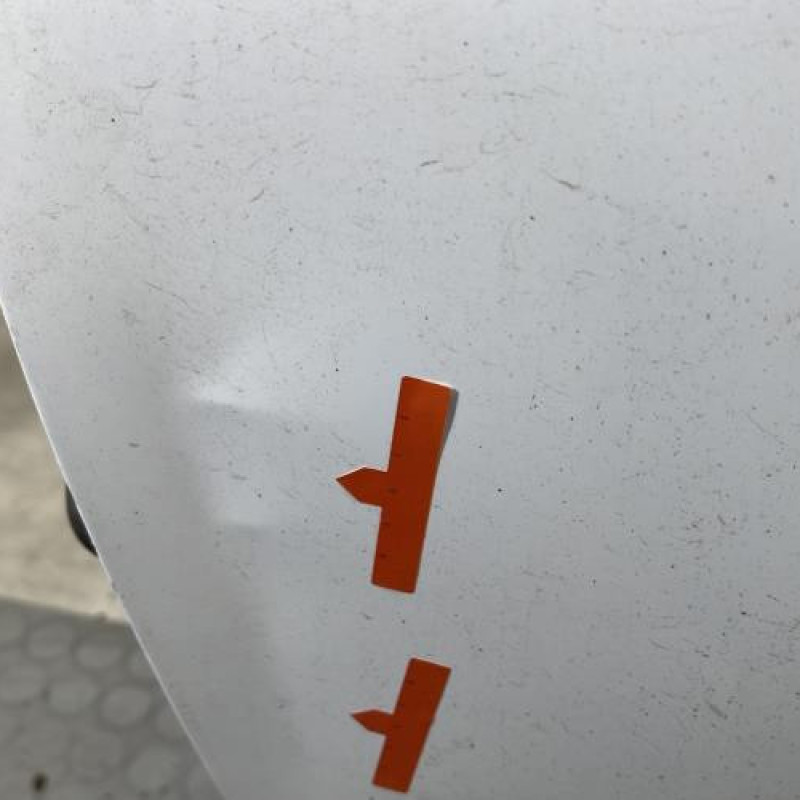 Porte avant gauche DACIA SANDERO 2 Photo n°4