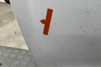 Porte avant gauche DACIA SANDERO 2