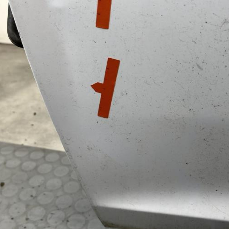 Porte avant gauche DACIA SANDERO 2 Photo n°5