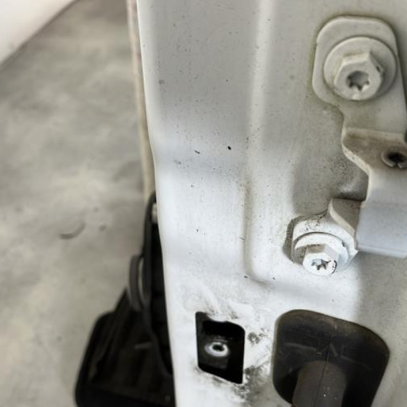 Porte avant gauche DACIA SANDERO 2 Photo n°6