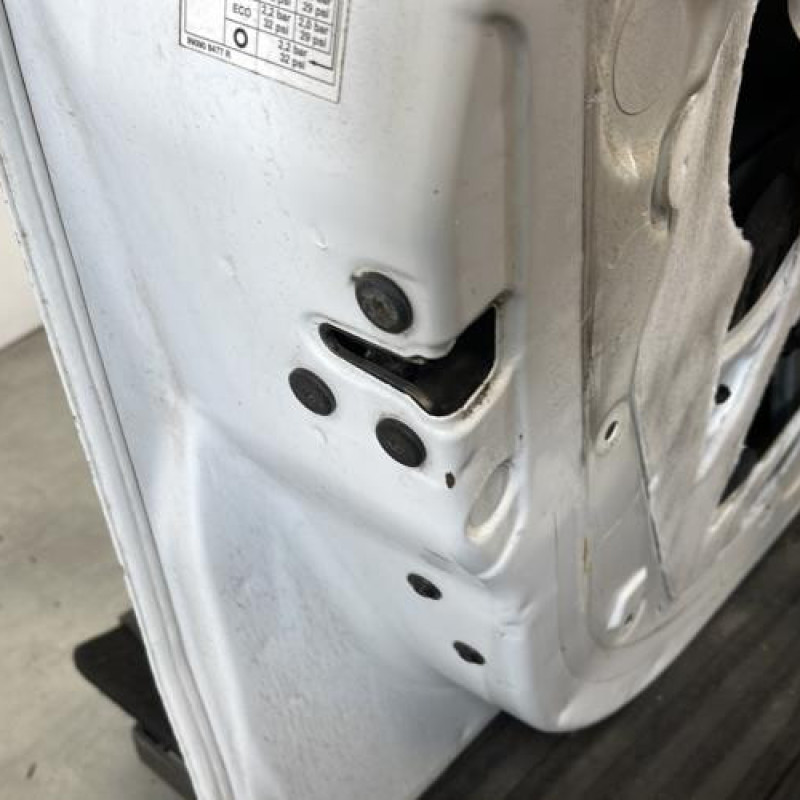 Porte avant gauche DACIA SANDERO 2 Photo n°8