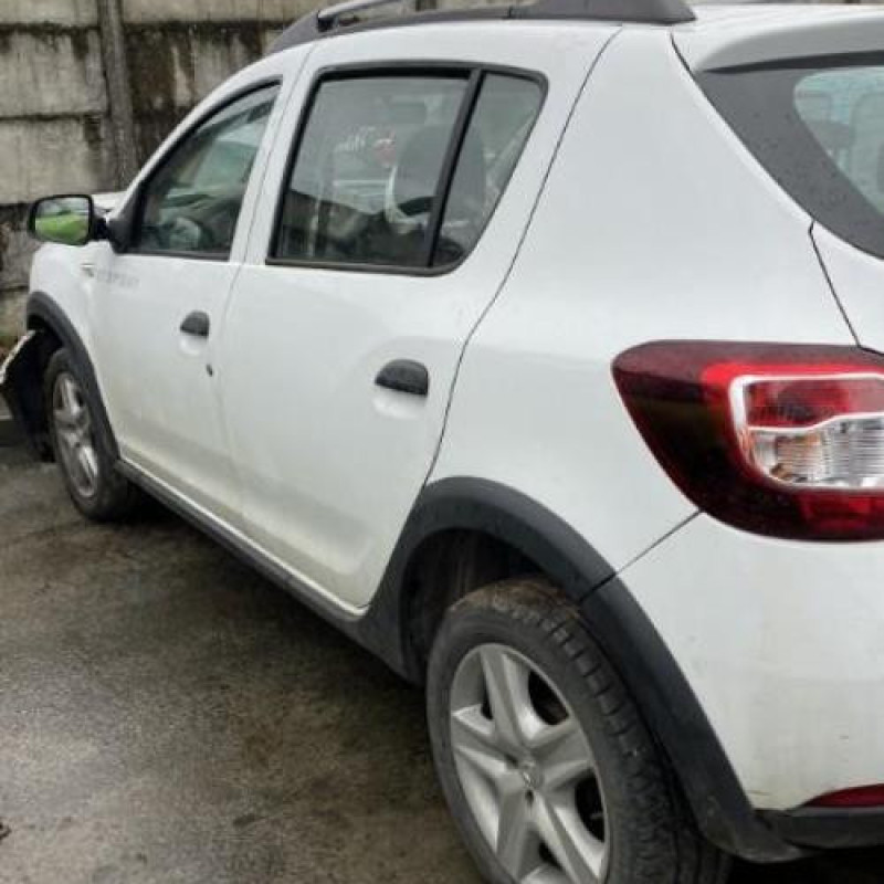 Porte avant gauche DACIA SANDERO 2 Photo n°13