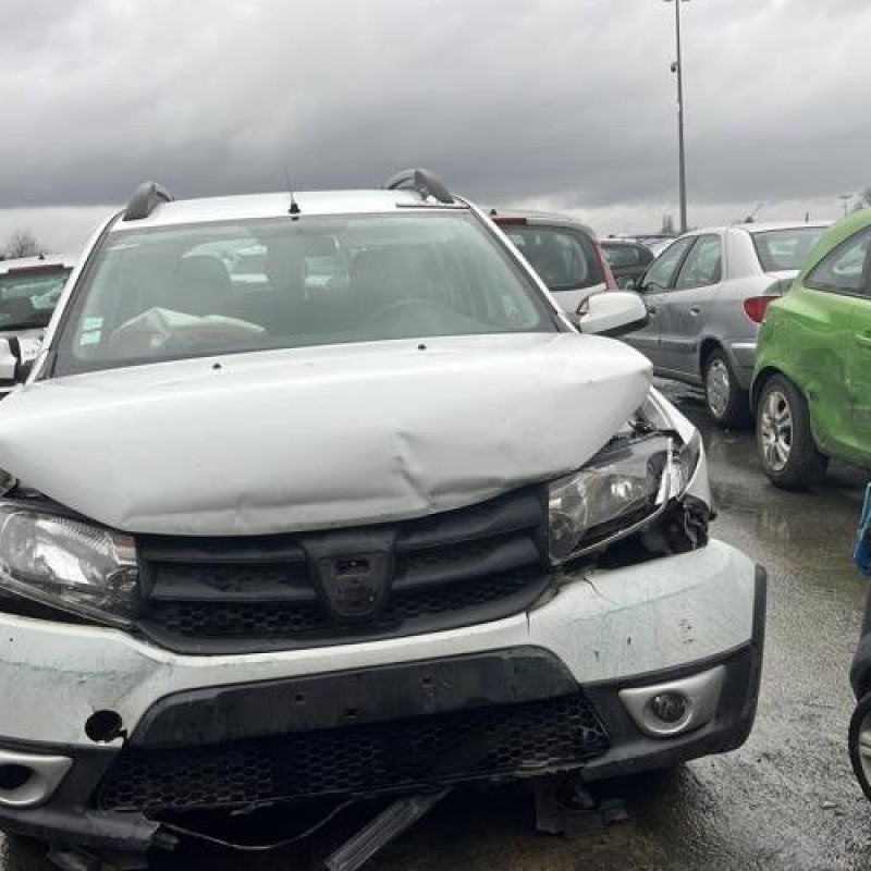 Porte avant gauche DACIA SANDERO 2 Photo n°19