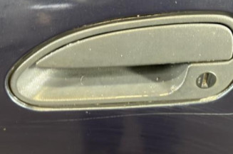 Porte avant gauche RENAULT SAFRANE