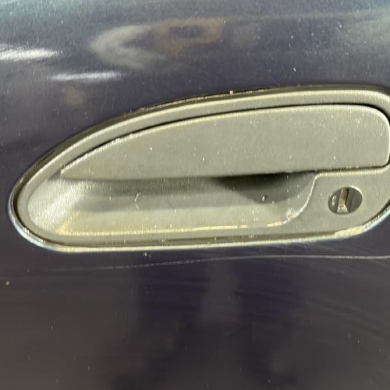 Porte avant gauche RENAULT SAFRANE Photo n°2