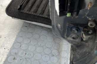 Porte avant gauche RENAULT SAFRANE