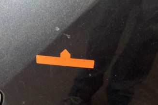 Porte arriere droit RENAULT CLIO 3