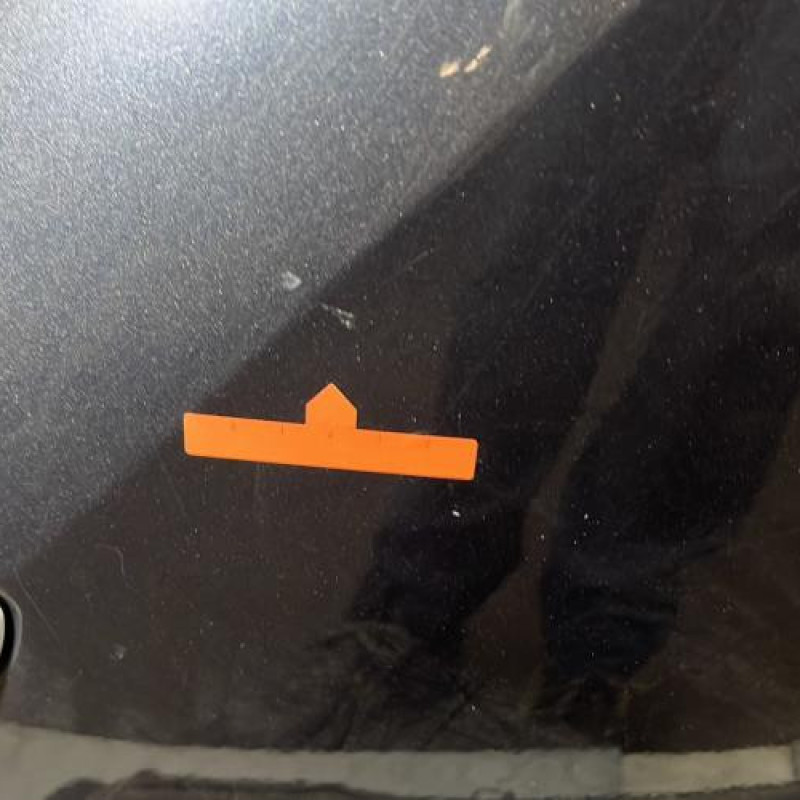 Porte arriere droit RENAULT CLIO 3 Photo n°2