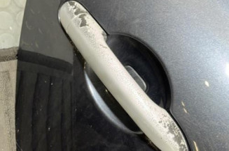 Porte arriere droit RENAULT CLIO 3