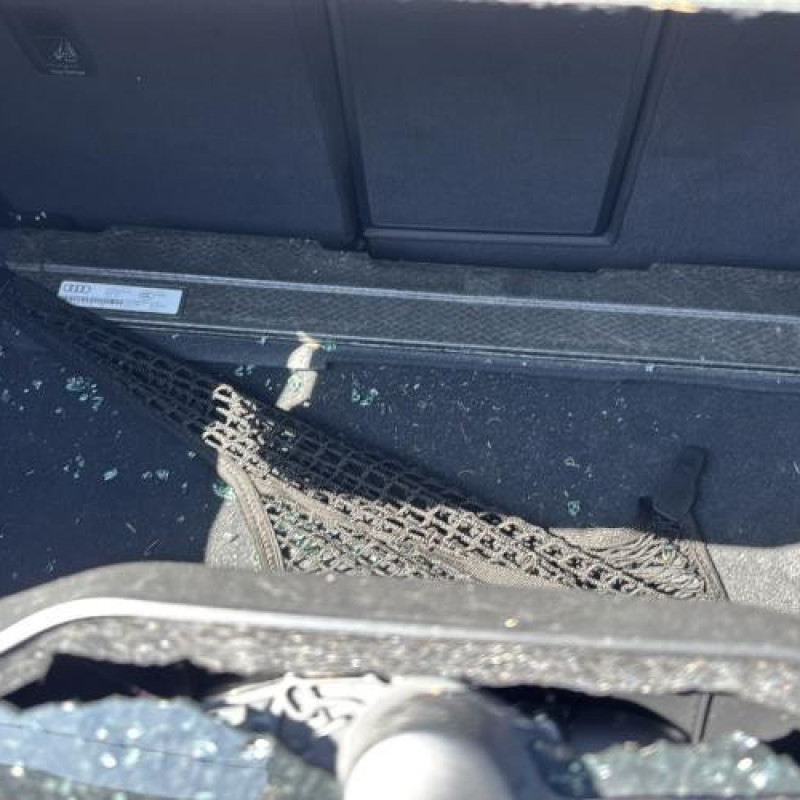 Bouton de warning AUDI A3 4 Photo n°12