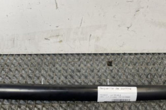 Baguette de coffre PEUGEOT 206+ Photo n°1