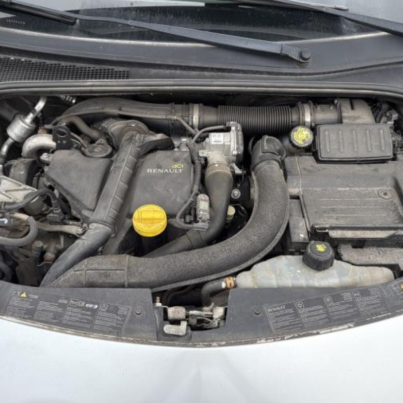 Neiman RENAULT CLIO 3 Photo n°13