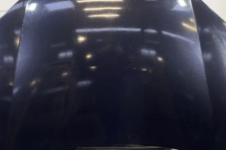 Capot VOLKSWAGEN GOLF 5 Photo n°1