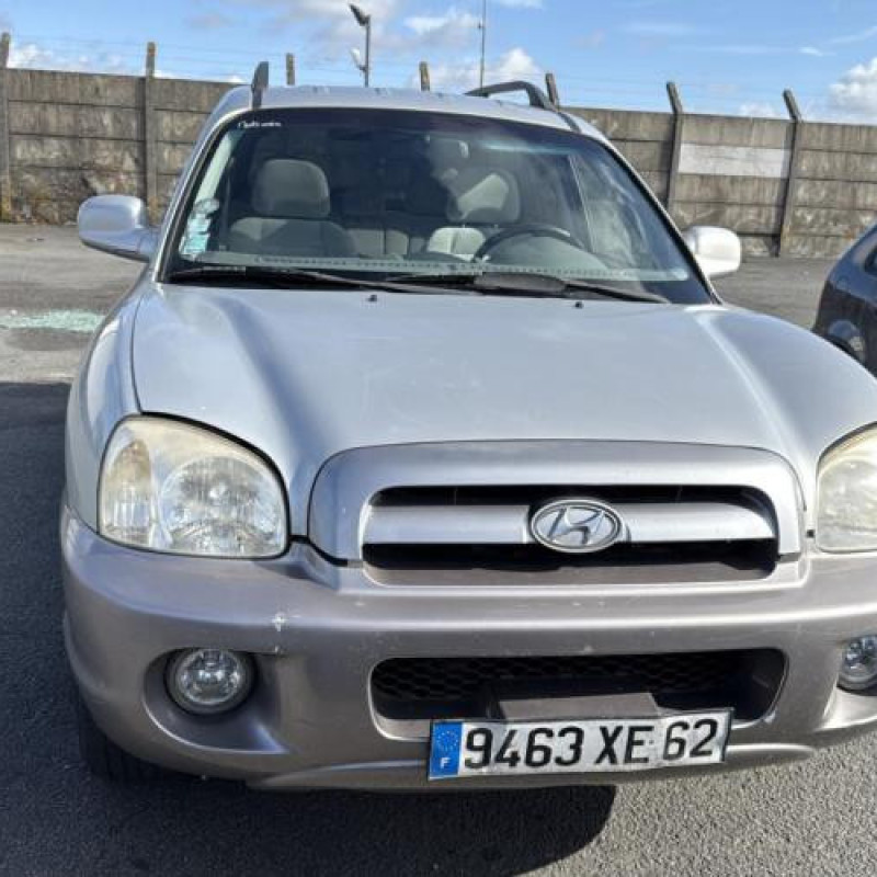 Neiman HYUNDAI SANTA FE 1 Photo n°9