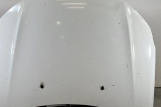 Capot CITROEN C5 2 Photo n°1