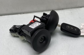 Neiman RENAULT TWINGO 3 Photo n°1