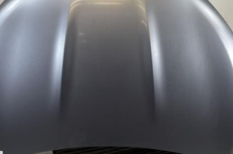 Capot NISSAN QASHQAI 1 Photo n°1