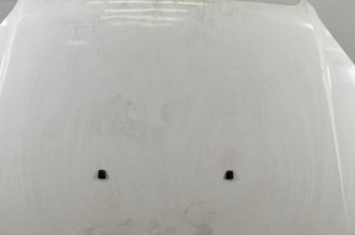 Capot FIAT DOBLO 1 Photo n°1