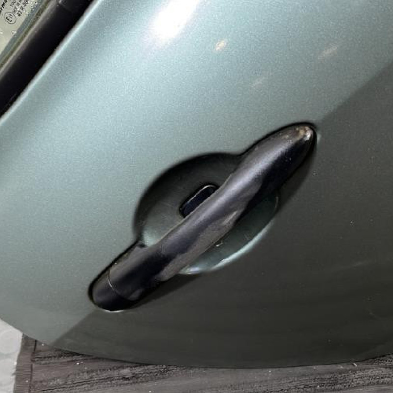 Porte arriere droit RENAULT CLIO 3 Photo n°2