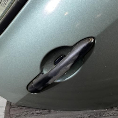 Porte arriere droit RENAULT CLIO 3