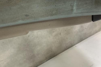 Porte arriere droit RENAULT CLIO 3