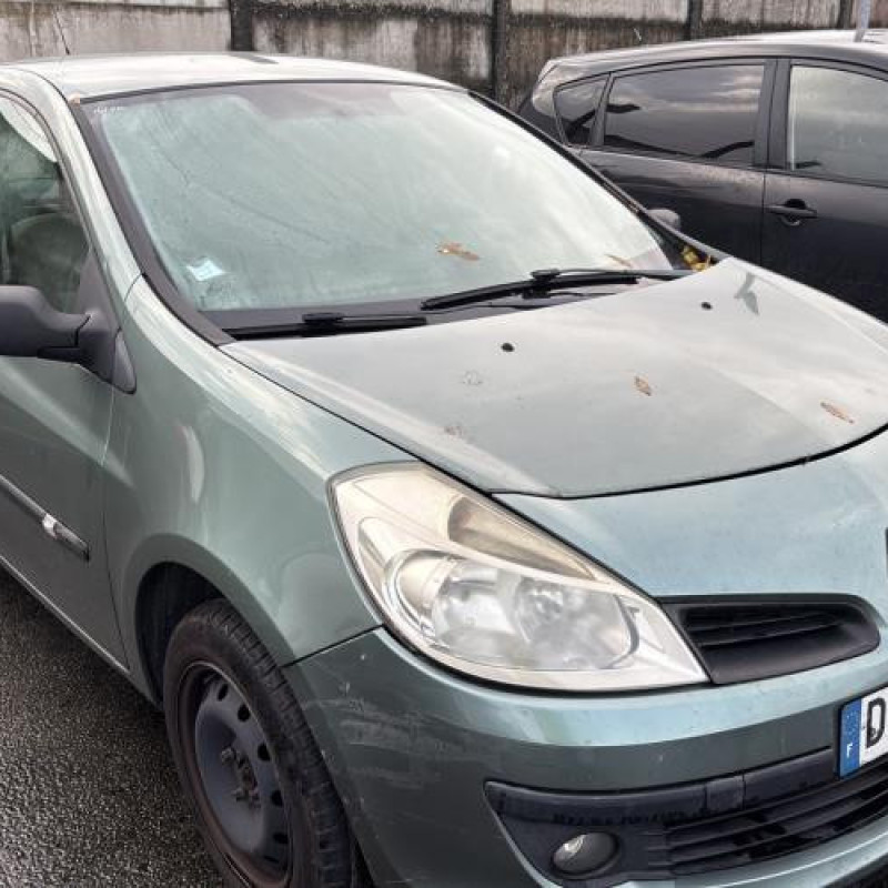 Porte arriere droit RENAULT CLIO 3 Photo n°7
