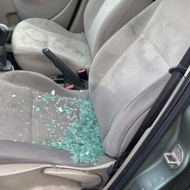 Porte arriere droit RENAULT CLIO 3 Photo n°16