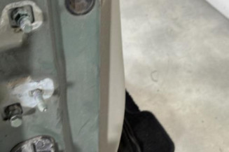 Porte avant droit RENAULT CLIO 3