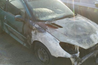 Arret de porte avant droit PEUGEOT 206