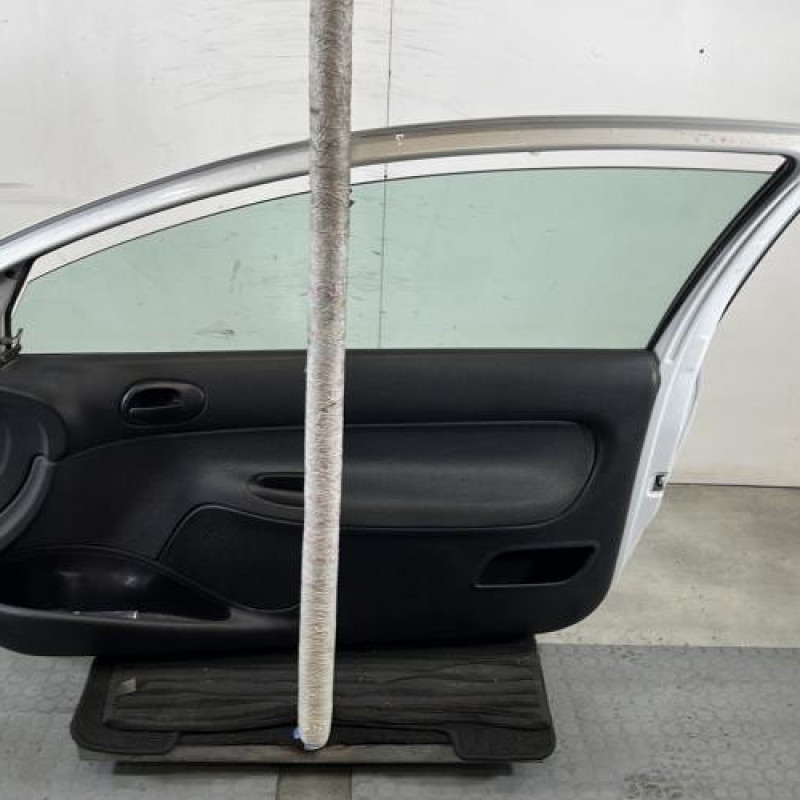 Porte avant droit PEUGEOT 206 Photo n°6