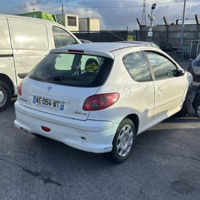 Porte avant droit PEUGEOT 206 Photo n°7