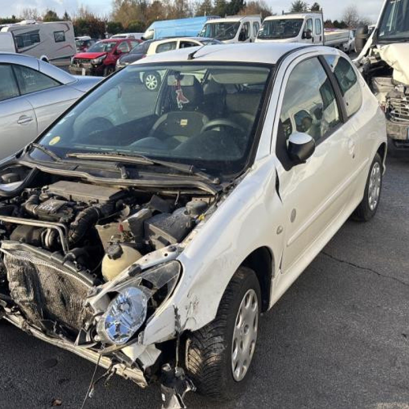 Porte avant droit PEUGEOT 206 Photo n°9