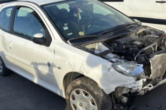 Porte avant droit PEUGEOT 206