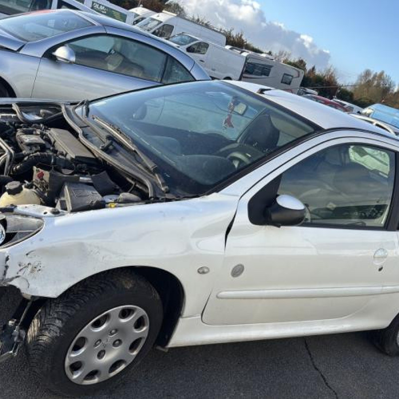 Porte avant droit PEUGEOT 206 Photo n°12