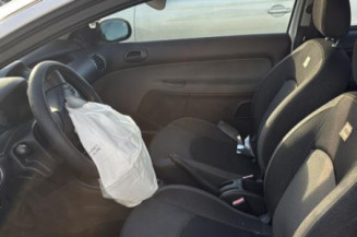 Porte avant droit PEUGEOT 206