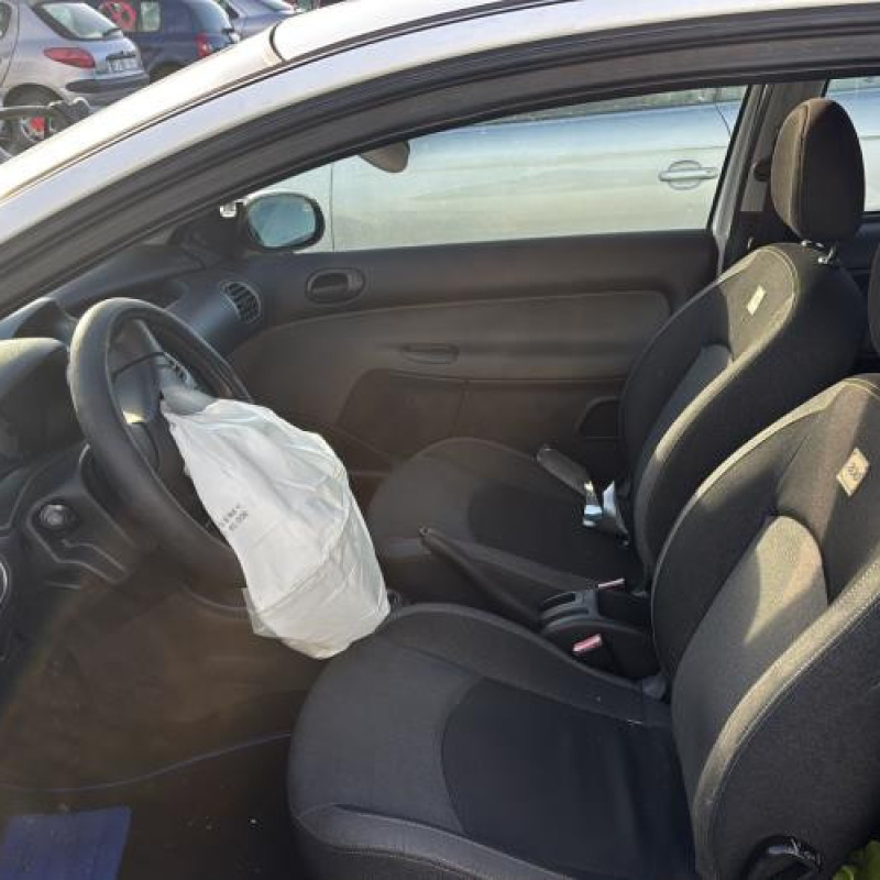 Porte avant droit PEUGEOT 206 Photo n°16