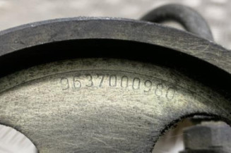 Pompe de direction PEUGEOT PARTNER 1 Photo n°1